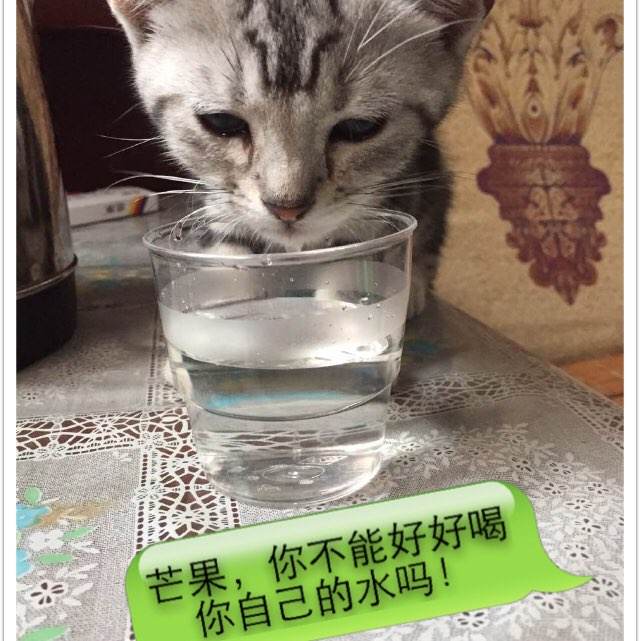 怎么买孕检报告单